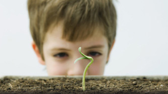 child looking at sprouting plant
